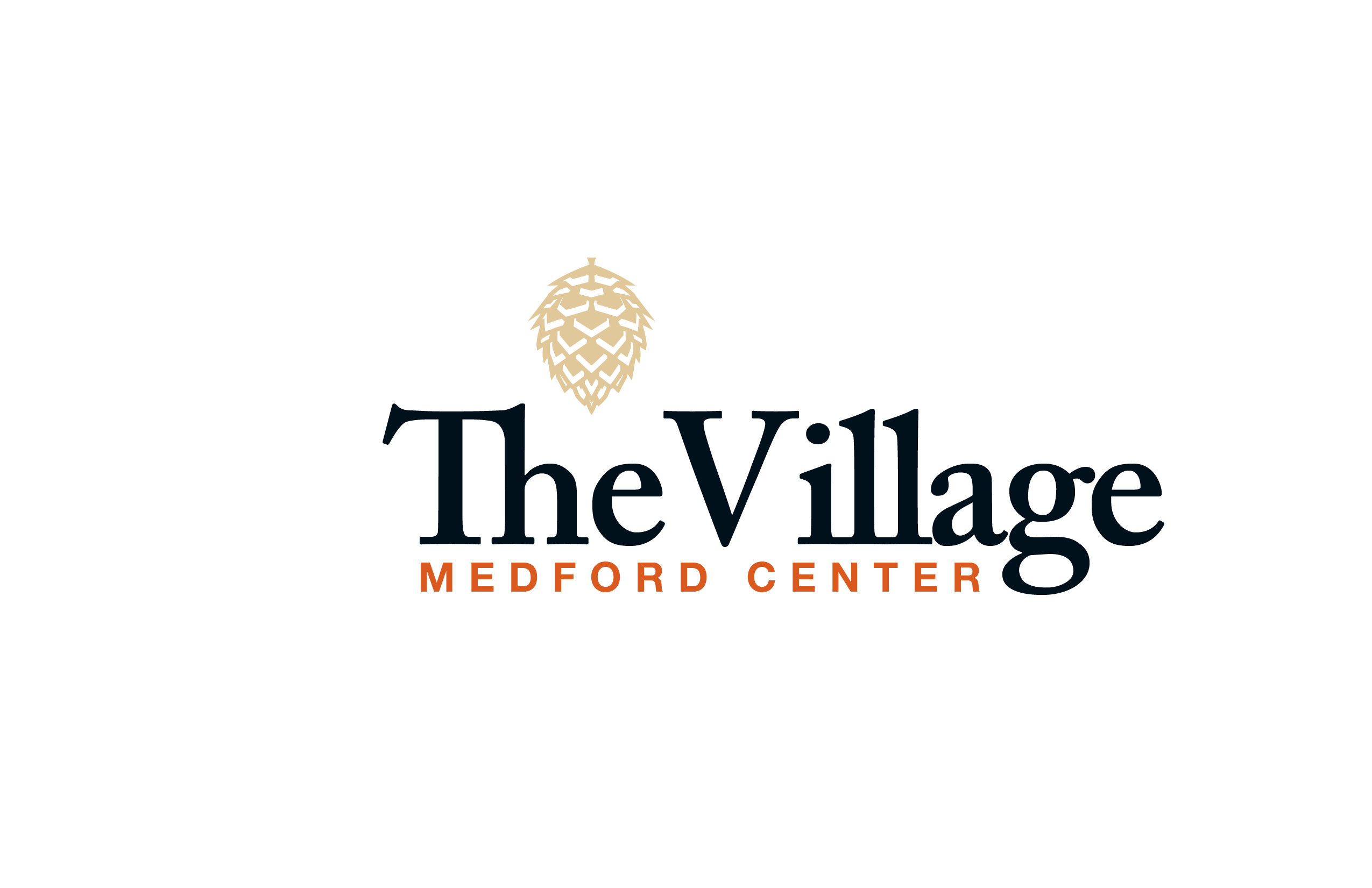 The Village at Medford Center